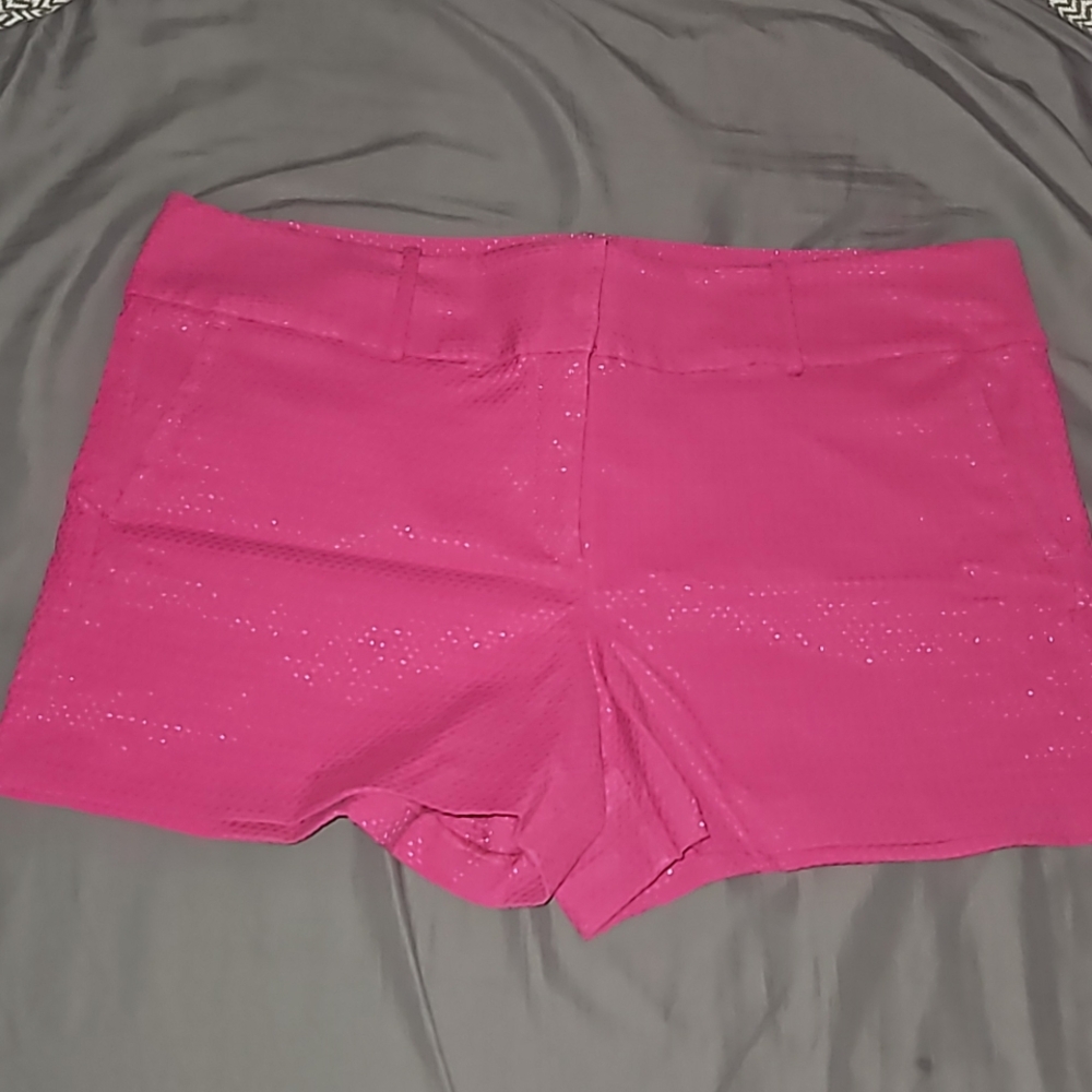 Ann Taylor Fuschia Modern Textured Short